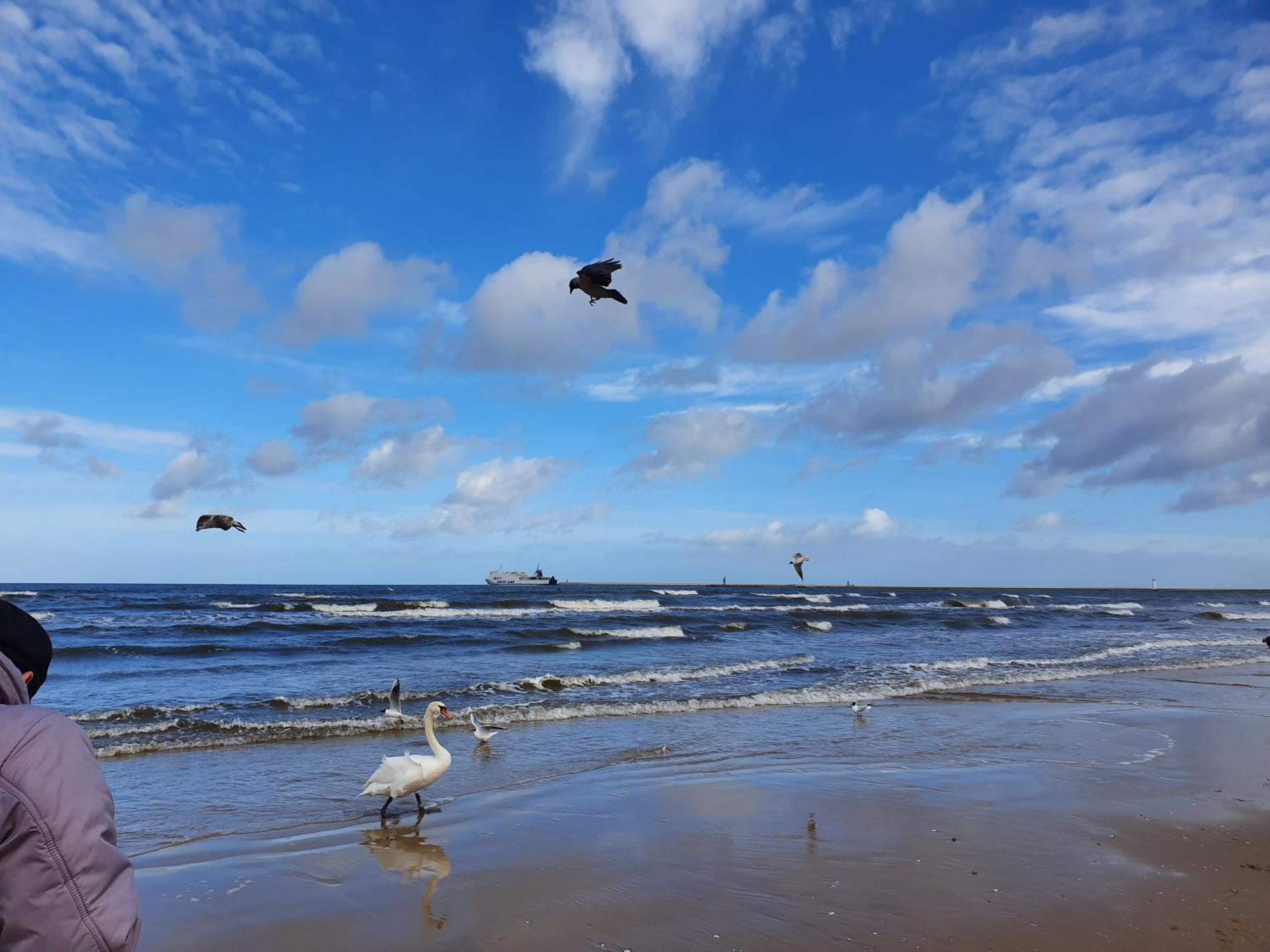 Perfektmari Appartement Świnoujście Buitenkant foto