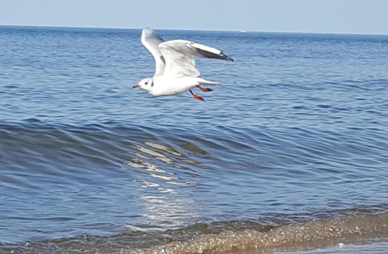 Perfektmari Appartement Świnoujście Buitenkant foto